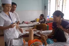 Rắn lục đuôi đỏ cắn một bé trai đến hôn mê