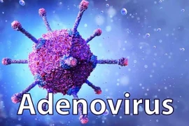 Cách phòng tránh và chữa trị Adenovirus