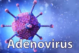 Cách phòng tránh và chữa trị Adenovirus