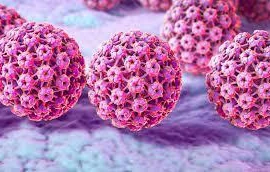 Human Papiloma virus (HPV) gây u nhú thanh quản