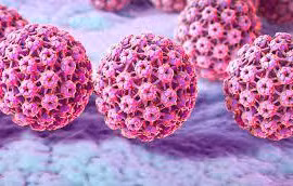 Human Papiloma virus (HPV) gây u nhú thanh quản