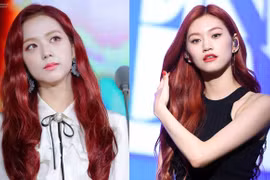 Các vitamin và khoáng chất giúp da đầu và tóc chắc khỏe