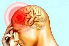 Ăn thực phẩm phòng ngừa suy giảm trí nhớ