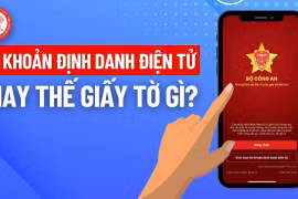 Tài khoảng định danh điện tử có thay thế được căn cước công dân?