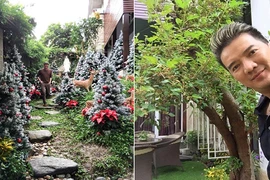 Những góc cực độc trong sân vườn nhà Đàm Vĩnh Hưng