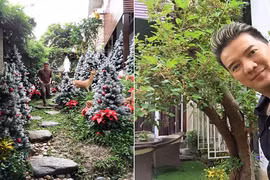 Những góc cực độc trong sân vườn nhà Đàm Vĩnh Hưng