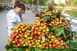 Vải thiều đầu vụ giá chát vẫn đắt hàng