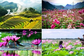 Xách balo đi ngắm cảnh thu tháng 9 đẹp quên lối về