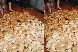 Sự thật về bức ảnh nướng gà bằng đèn khò gây bão