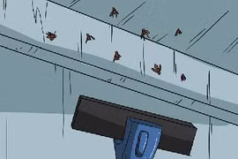 Dùng máy hút bụi.. diệt côn trùng gây bệnh