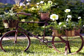 Hô biến sân vườn trang trí nhàm chán thành “hàng độc“