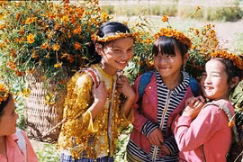 Nắng dát vàng Hà Giang những ngày đầu đông 