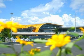 Ngất ngây ngắm sân bay Đà Lạt ngập tràn hoa dã quỳ