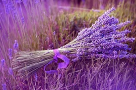 Bóc giá loạt hoa Valentine ý nghĩa tặng nàng