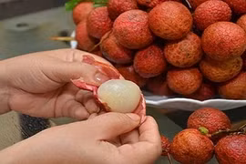 Phân biệt vải thiều chuẩn, chọn sao không bị hớ?