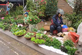 Đi chợ phiên độc, dị giá bèo nhất Hà Nội