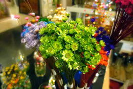 Cúc nhiệt đới mini thành quà độc lạ mùa Valentine 2015