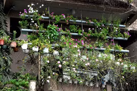 Ngắm vườn treo đẹp mắt ở biệt thự Hồ Tây