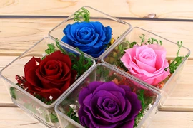 300.000 đồng nên mua hoa gì tặng người yêu ngày Valentine? 