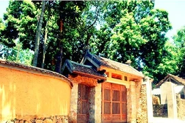 Ngắm nhà độc tẩy chay bê tông, cốt thép