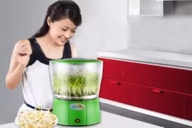 Những hiểu lầm tai hại khi dùng máy trồng rau mầm