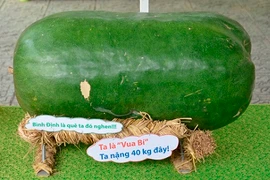 Săn lùng những loại quả độc lạ nhất Việt Nam 2015