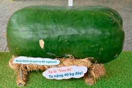 Săn lùng những loại quả độc lạ nhất Việt Nam 2015