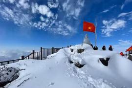 Săn băng tuyết tại Fansipan, Mẫu Sơn 