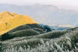 Về Bình Liêu mùa cỏ lau