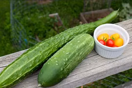 Loại trái cây giúp dưỡng ẩm da