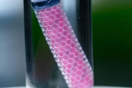 Công nghệ mô cấy chữa khỏi ung thư trong 60 ngày