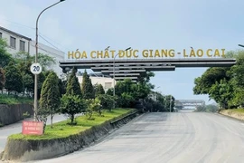 Liên hoàn vi phạm môi trường, ông chủ của Hóa chất Đức Giang là ai?