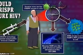 Liệu pháp chữa khỏi hoàn toàn HIV