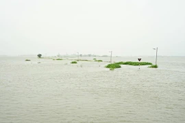 Bão số 5: Huế, Quảng Trị chìm trong biển nước