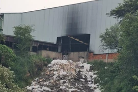 Đồng Nai: Công ty Đăng Long xả thải ra môi trường, chính quyền còn “ưu ái”?