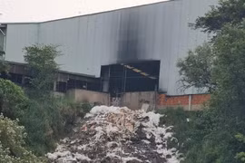 Đồng Nai: Công ty Đăng Long xả thải ra môi trường, chính quyền còn “ưu ái”?