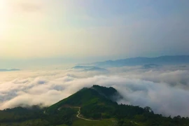 Ngắm sao, săn mây ở Cao nguyên Đồng Cao