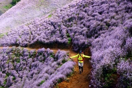 Kinh nghiệm chinh phục đỉnh Tà Chì Nhù