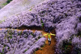 Kinh nghiệm chinh phục đỉnh Tà Chì Nhù