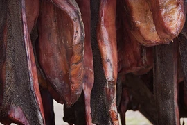 Cận cảnh quá trình chế biến món cá mập thối 