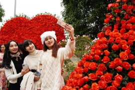  “Mê Linh rực rỡ sắc hoa”