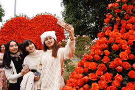  “Mê Linh rực rỡ sắc hoa”