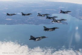 Mỹ thanh tra bất ngờ, không quân NATO có nguy cơ "nằm đất"