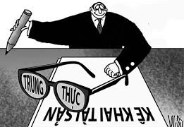 Nữ phó giám đốc ở Lâm Đồng 'quên' khai 5 thửa đất khi kê khai tài sản