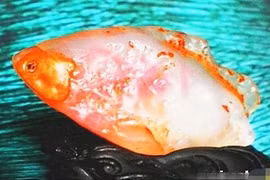 10 hòn đá kỳ dị có giá cao “ngất trời” ở Trung Quốc