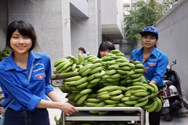 Ngắm bóng hồng tình nguyện “giải cứu” chuối ở Hà Nội