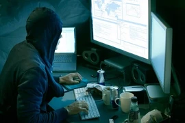 Hacker Việt Nam bị Mỹ tuyên phạt 13 năm tù