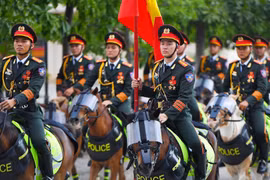  Hành trình Nam tiến đầy thử thách của 62 chiến mã kỵ binh