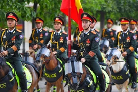  Hành trình Nam tiến đầy thử thách của 62 chiến mã kỵ binh