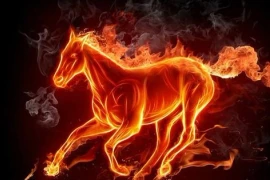 Quý nhân vây quanh, 4 tuổi đỏ cả tiền lẫn tình 2 tháng tới